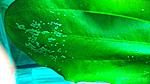 IMG 20180801 131503