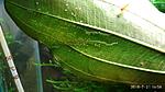 IMG 20180721 165833