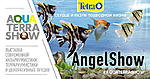 angelshow 2018 new2