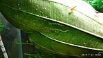 IMG 20180721 165837