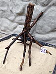 IMG 1759