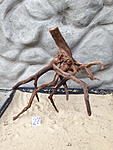 IMG 1719