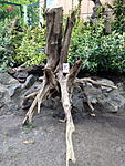 IMG 1736