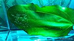 IMG 20180801 131524