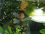 DSCN8755