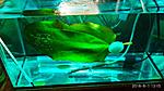IMG 20180801 131510
