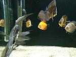 IMG 20180715 124930