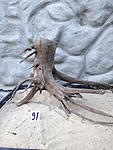 IMG 1731