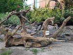 IMG 1734