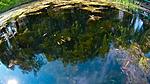 Teremok pond 21 08 18