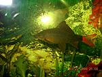 DSCN0029