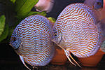 IMG 5857 1