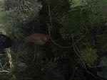 DSC01620