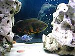 IMG 4585