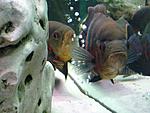 IMG 4586