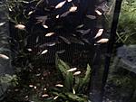 DSC01610