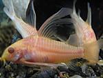 IMG 4885 
- 