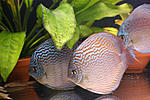 IMG 5862 1