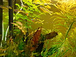 IMG 20180830 140626