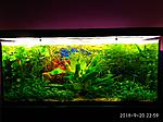 IMG 20180920 225927