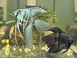 IMG 4397