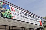 IMG 3175