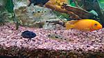 IMG 20180930 123704