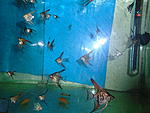 DSC00757