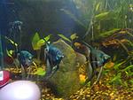 IMG 20180902 173707
