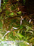 IMG 20181016 174225