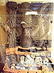 DSCN0002