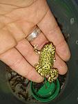 IMG 20181018 182712