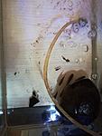 IMG 20181021 173221