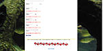 website form problemS