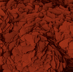 astacolor 100 1480333372