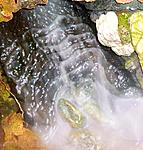 DSCN0007