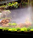 DSCN0010