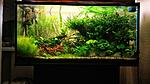 IMG 20181113 200613