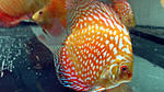 IMG 4973