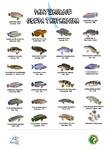 poster shell rus