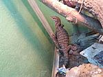 IMG 3e5345c64eb5cfaa8fc75e5c4095c450 V
