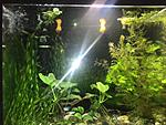 IMG 20181016 202741 796