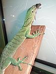 IMG 4f2da2c79d282073749c5be1a5cf2b5c V