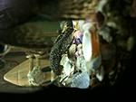 IMG 3663