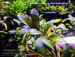 DSCF7014