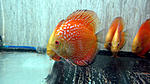 IMG 5067