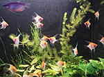 IMG 20181216 211425