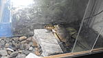 IMG 20180917 154141