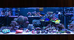 202018DSC04329