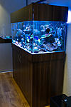202018DSC04334